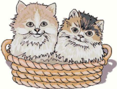 Two Kittens in Basket