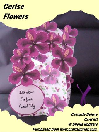 Cerise Flowers Cascade Deluxe Card Kit