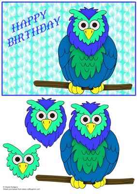 Blue Owl on Branch