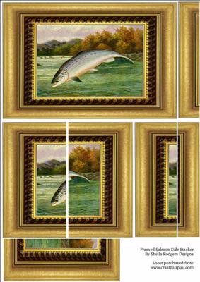 Framed Salmon Side Stacker, Fishing, Sport, Male Birthday
