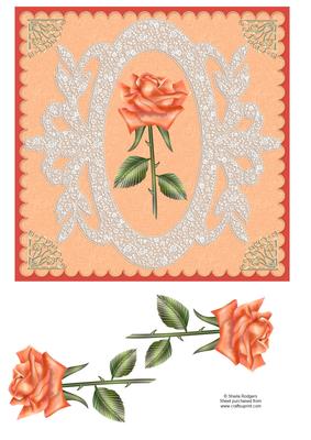 Rose in Lace Frame