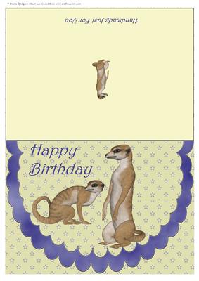 Scalloped Meerkats