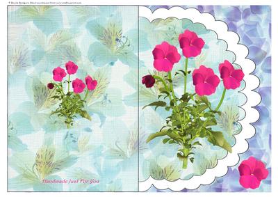 Scalloped Pink Pansies