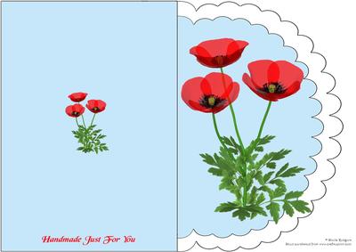 Scalloped Red Poppies