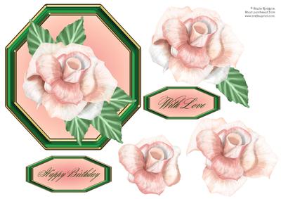 Palest Salmon Pink Rose