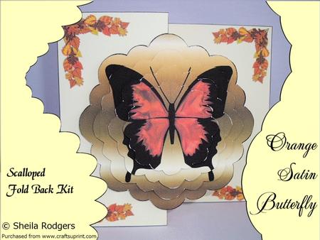 Orange Satin Butterfly Scalloped Fold Back Card Kit