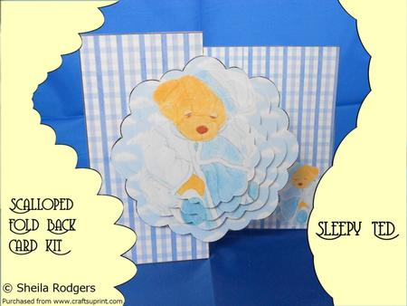 Sleepy Ted Scalloped Fold Back Card Kit