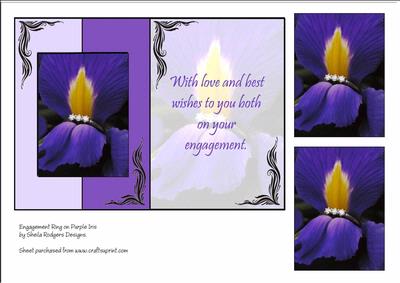 Engagement Ring on Purple Iris