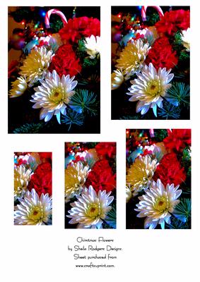 Christmas Flowers