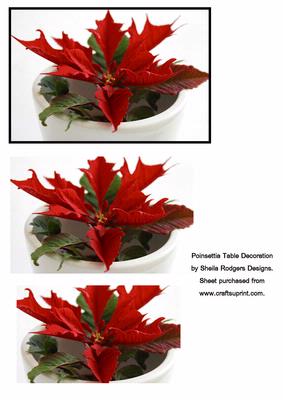 Poinsettia Table Decoration