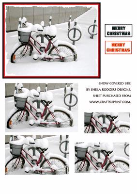 Snow Covered Bike