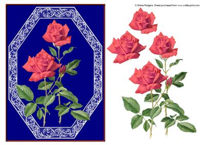 Coral Roses in Lace Frame