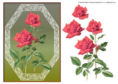 Coral Roses in Lace Frame 2