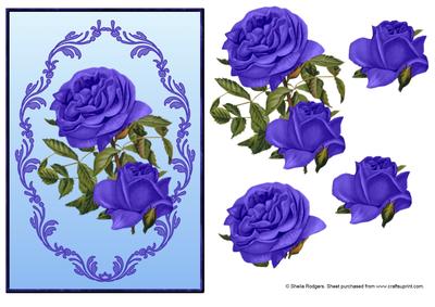 Purple Roses in Lace
