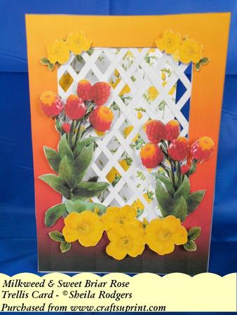 Milkweed & Sweet Briar Rose - Trellis Card Kit