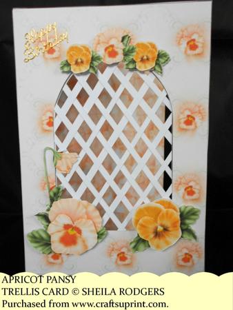 Apricot Pansy - Trellis Card Kit