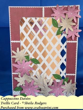 Cappuccino Daisies - Trellis Card Kit