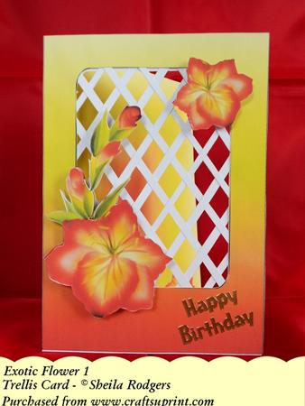 Exotic Flower 1 - Trellis Card Kit