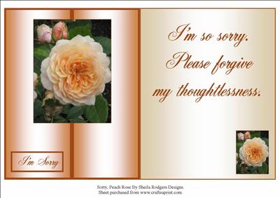Sorry, Peach Rose