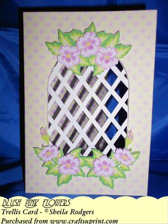 Blush Pink Flowers - Trellis Card Kit