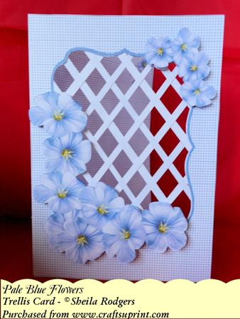 Pale Blue Flowers - Trellis Card Kit