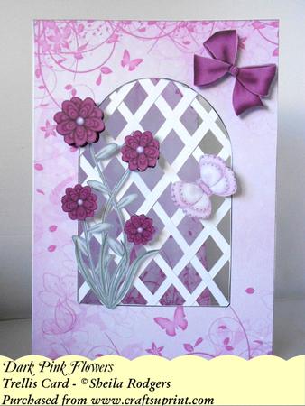 Dark Pink Flowers - Trellis Card Kit