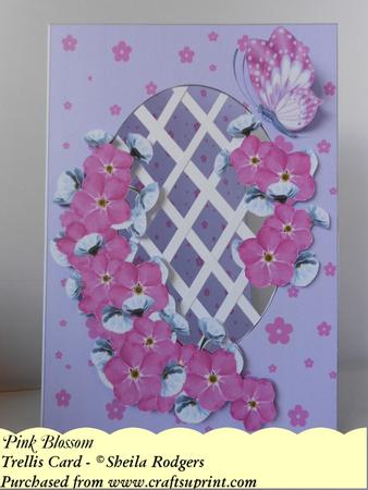 Pink Blossom - Trellis Card Kit