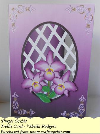 Purple Orchid - Trellis Card Kit