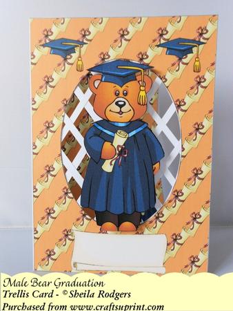 Male Bear Graduation - Trellis Card Kit