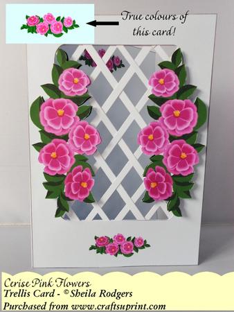 Cerise Pink Flowers - Trellis Card Kit