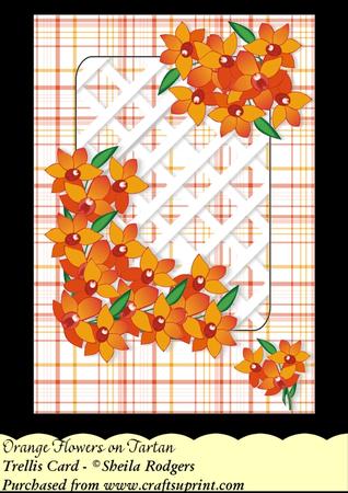 Orange Flowers on Tartan - Trellis Card Kit