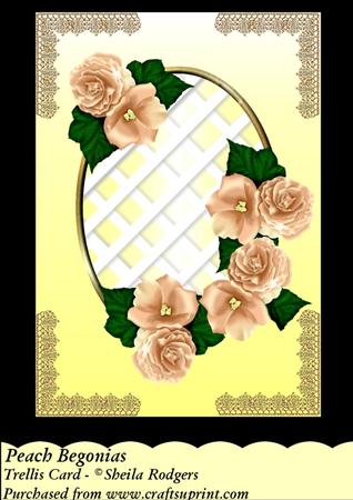 Peach Begonias - Trellis Card Kit