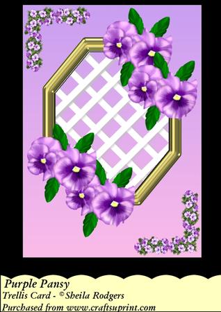 Purple Pansy - Trellis Card Kit