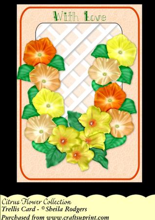 Citrus Flower Collection - Trellis Card Kit