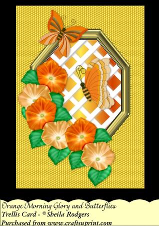 Orange Morning Glory and Butterflies - Trellis Card Kit