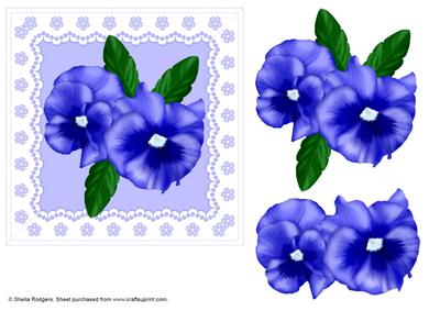 Pansies on Lace