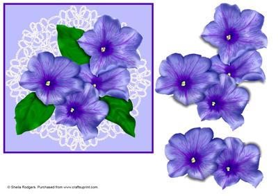 Petunias on Lace