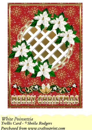 White Poinsettia - Trellis Card Kit