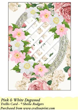 Pink & White Dogwood - Trellis Card Kit