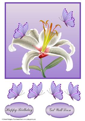 Day Lily with Butterflies