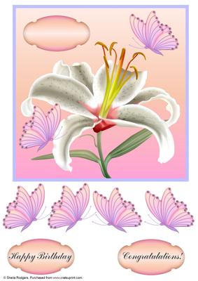 Day Lily with Butterflies 2