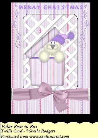 Polar Bear in Box - Trellis Card