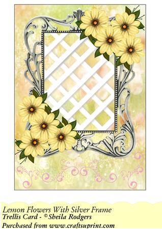 Lemon Flowers with Silver Frame - Trellis Card Kit