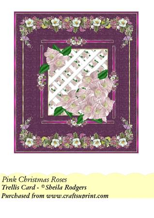 Pink Christmas Roses - Trellis Card Kit