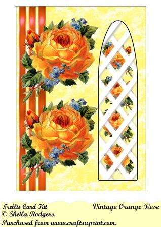 Vintage Orange Rose - Side Trellis Card