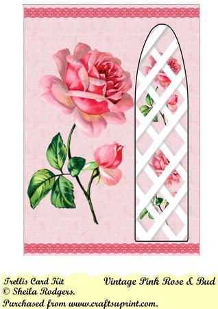 Vintage Pink Rose & Bud Side Trellis Card