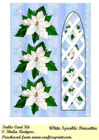 White Sparkle Poinsettia Side Trellis