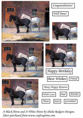 A Black and a White Horse.