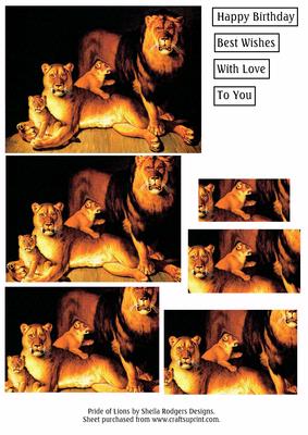 Pride of Lions