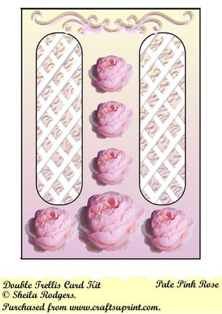 Pale Pink Rose Double Trellis Card Kit